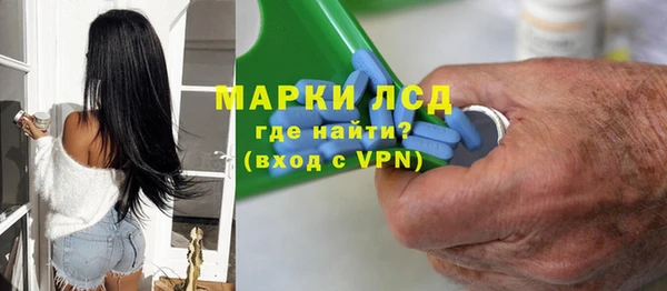 прущие грибы Беломорск
