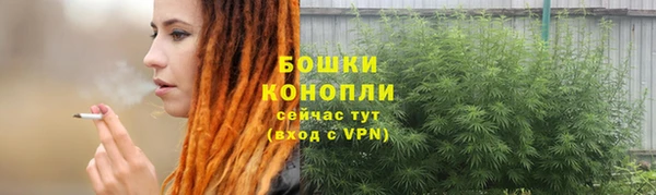 ПСИЛОЦИБИНОВЫЕ ГРИБЫ Белокуриха