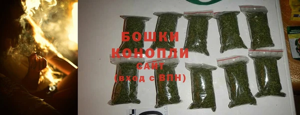 ПСИЛОЦИБИНОВЫЕ ГРИБЫ Белокуриха
