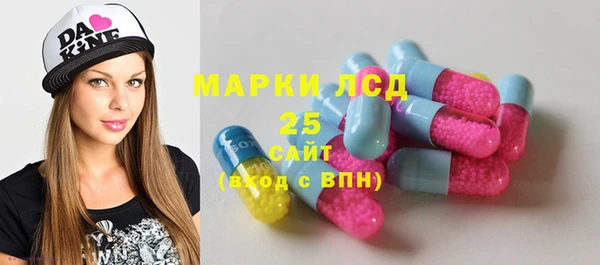 ПСИЛОЦИБИНОВЫЕ ГРИБЫ Белокуриха