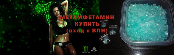 прущие грибы Беломорск