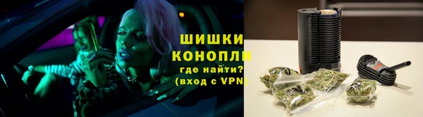 прущие грибы Беломорск