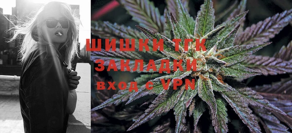 ПСИЛОЦИБИНОВЫЕ ГРИБЫ Белокуриха