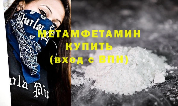 прущие грибы Беломорск