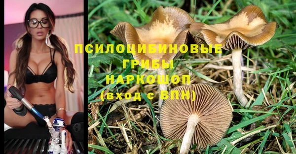 ПСИЛОЦИБИНОВЫЕ ГРИБЫ Белокуриха