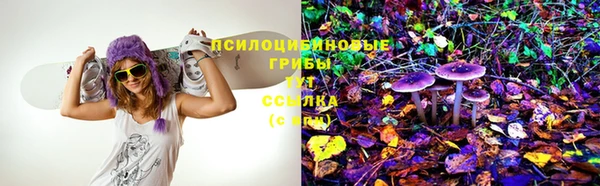 скорость Тайга