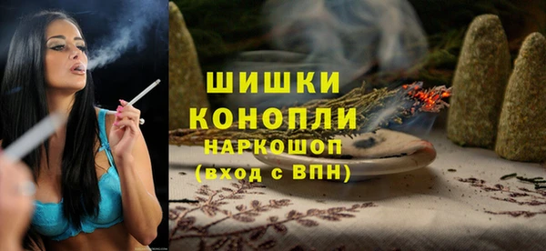 прущие грибы Беломорск
