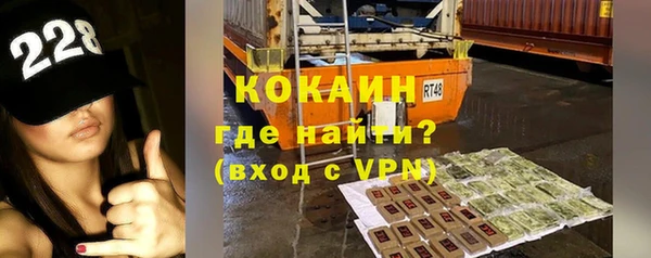 прущие грибы Беломорск