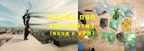 ПСИЛОЦИБИНОВЫЕ ГРИБЫ Белокуриха