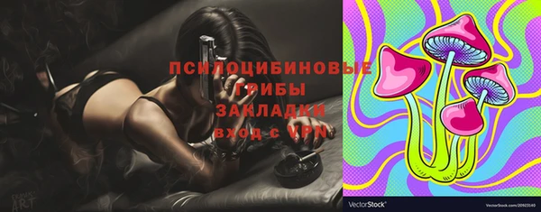 ПСИЛОЦИБИНОВЫЕ ГРИБЫ Белокуриха